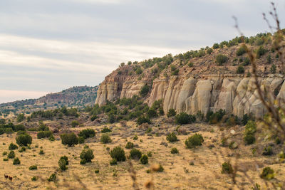 View of rock formations on landscape against sky