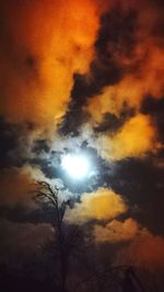 Low angle view of silhouette tree against sky at night