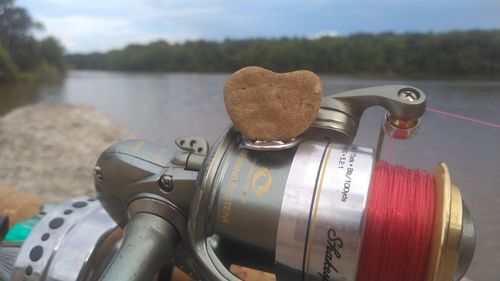 Close-up of stuffed toy by lake
