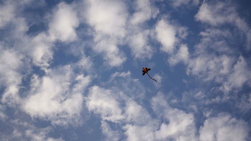 Low angle view of bird flying in sky