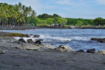 Scenic view of sea against sky