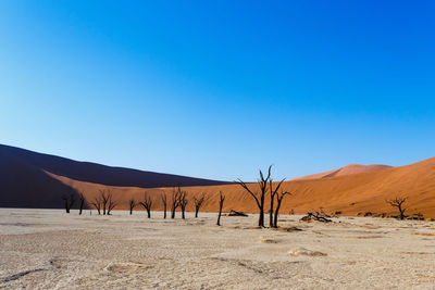 Scenic view of desert against clear blue sky