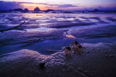 Scenic view of sea against sky at sunset