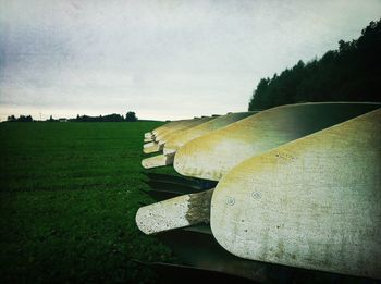 Trees on grassy field