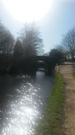 Bare trees by river