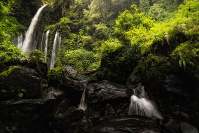 Scenic view of waterfall in forest