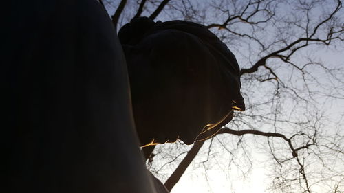 Low angle view of tree against sky during winter