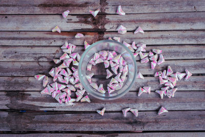 Directly above shot of pink flowers on table