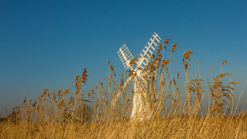 Low angle view of stalks in field against clear blue sky