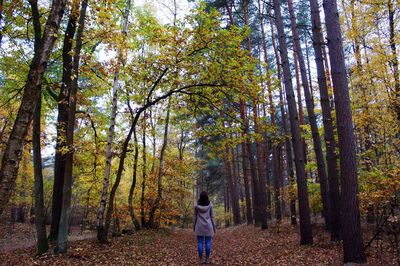 Rear view of woman standing in forest