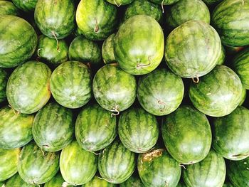 Full frame shot of cucumber