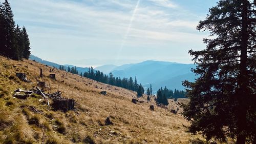 Panoramic view of landscape against sky