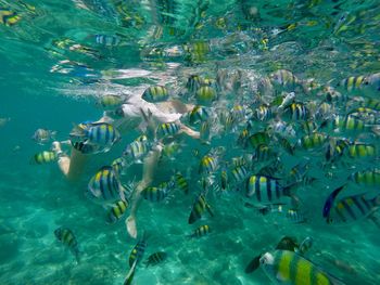 Boy and fish swimming in sea