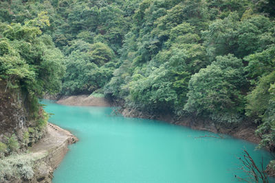 High angle view of lake amidst trees in forest