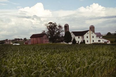 Houses on field against sky