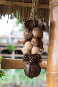 Close-up of dry fruits hanging outdoors