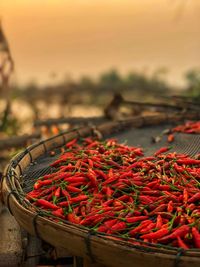 Close-up of red chili peppers in basket