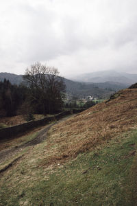 Scenic view of field and mountains against sky