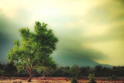 Scenic view of landscape against cloudy sky