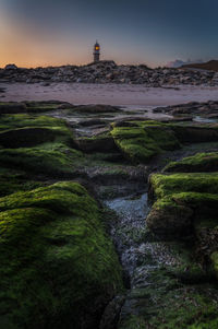 Moss covered rocks at beach during sunset