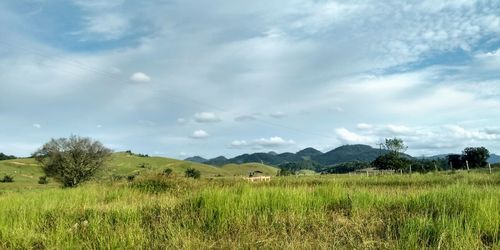 Scenic view of field against sky