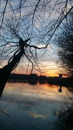 Silhouette tree by lake against sky during sunset