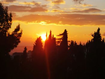 Silhouette trees against sky during sunset