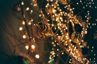 Low angle view of illuminated christmas tree at night