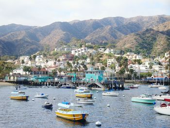 Boats moored at harbor