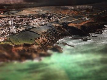 Surface level of grass