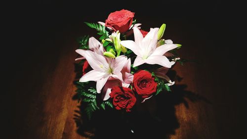 Close-up of red flowers blooming against black background