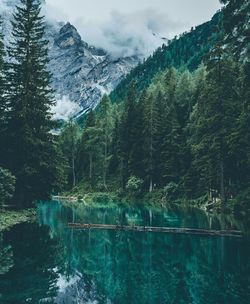 Scenic view of lake by trees against sky