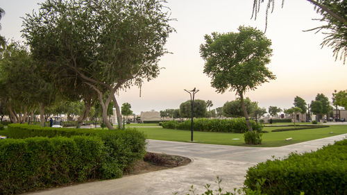 View of park against clear sky