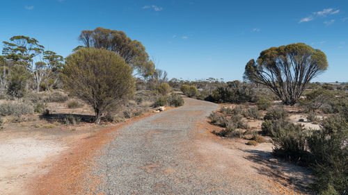 Landscape around the wave rock, famous place in the outback of western australia