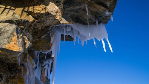 Low angle view of bird hanging against clear blue sky