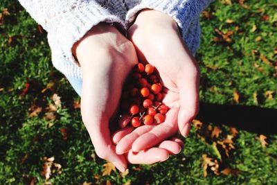 Close-up of hand on grass