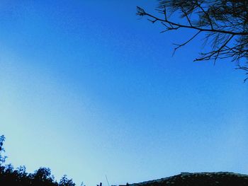 Low angle view of silhouette trees against clear blue sky