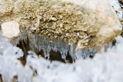 Close-up of rock against ice crystals