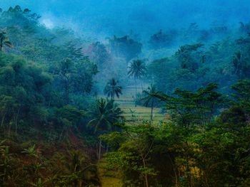 Scenic view of waterfall