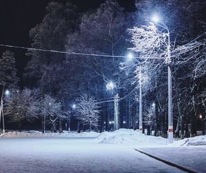 Snow covered trees against sky at night