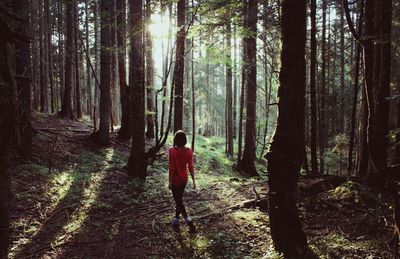 Rear view of people standing on footpath in forest