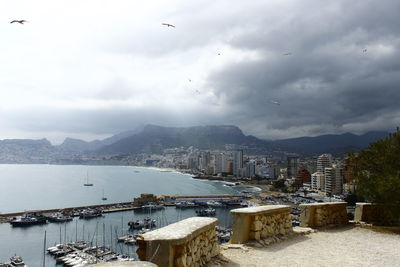 Sea by buildings against sky in city and seagulls