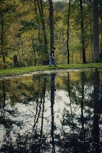 Reflection of trees in lake against sky