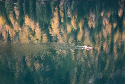 High angle view of boat sailing in lake