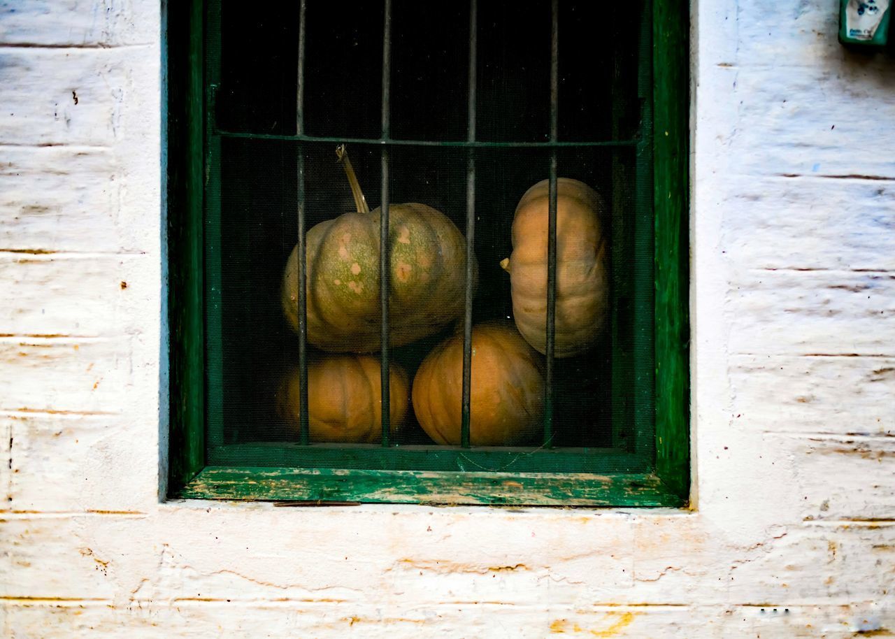 CLOSE-UP OF ORANGES AND WINDOW ON BUILDING