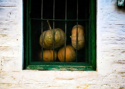 Close-up of pumpkin on window