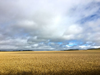 Scenic view of landscape against cloudy sky