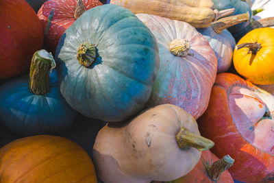 High angle view of pumpkins in market