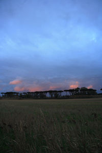 Scenic view of field against sky during sunset