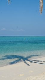 sea
